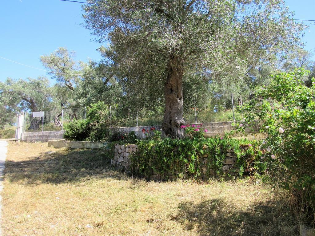 Villa Clementine Gaios Exteriör bild